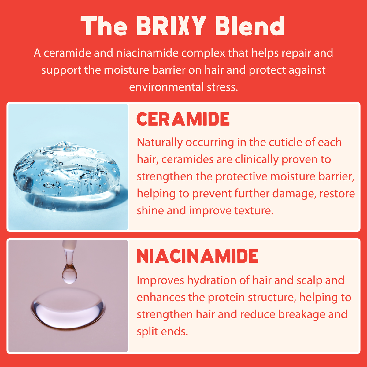 BRIXY Strengthen Shampoo Bar