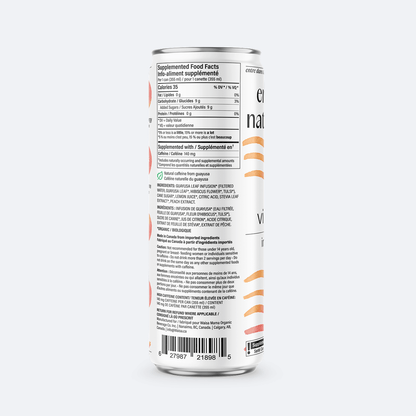 Waisa - Vibrant Peach Cold Brew (sold in cases)