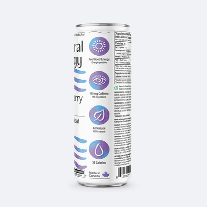 Waisa - Wildberry Mint Cold Brew (sold in cases)